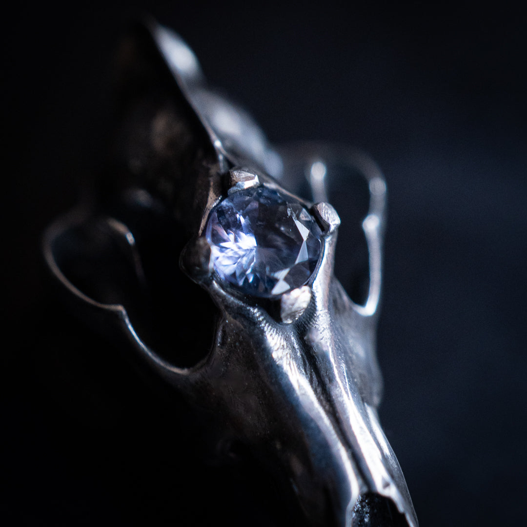 Northfang - A Sterling Silver Wolf Skull Pendant, w/ Icy Blue Tanzanite