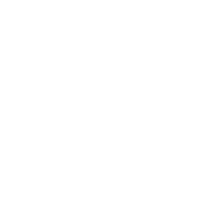 Store logo uploaded via AI Sales Page